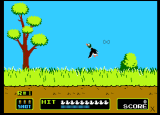 Duck Hunt
